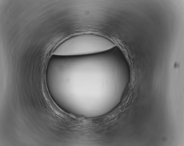 X0000113530097200909181009
