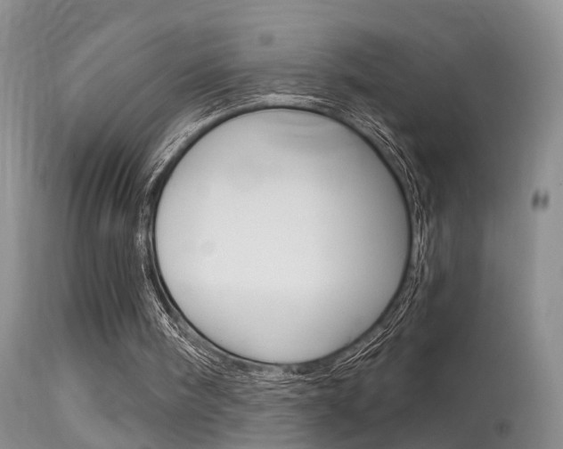 X0000113530098200909181009