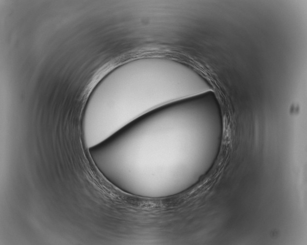 X0000113530099200909181009