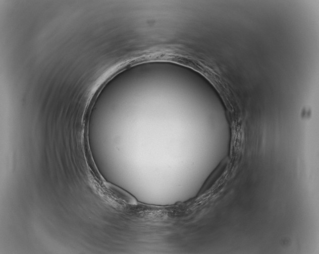 X0000113530100200909181009