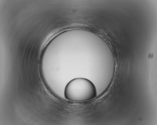 X0000113530101200909181009