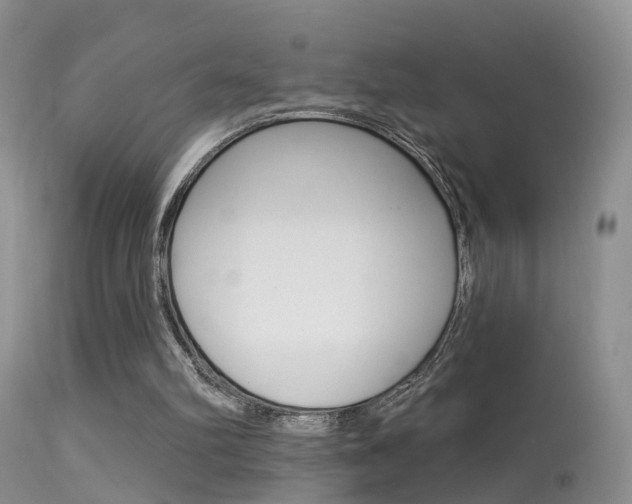X0000113530102200909181009