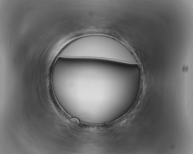 X0000113530103200909181009