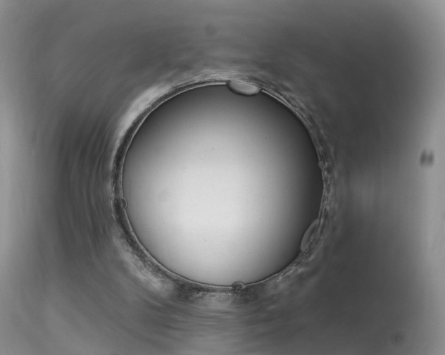 X0000113530104200909181009