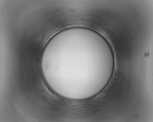 X0000113530105200909181009