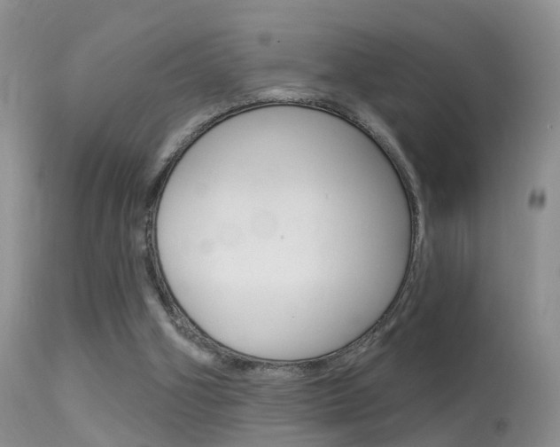 X0000113530106200909181009