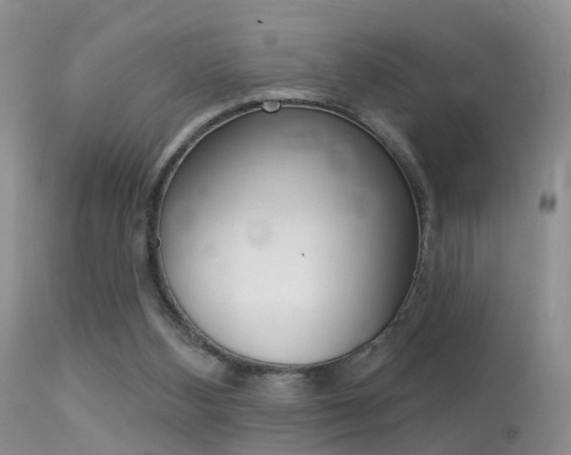 X0000113530108200909181009