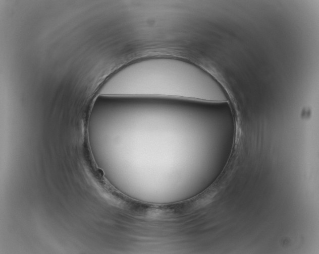 X0000113530109200909181009