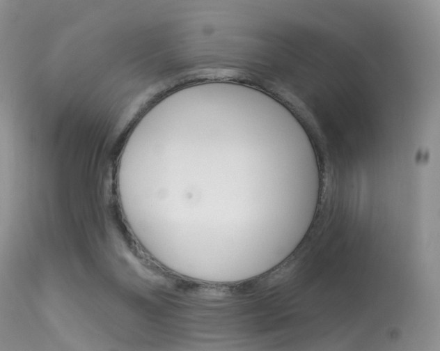 X0000113530110200909181009