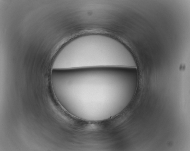 X0000113530111200909181009