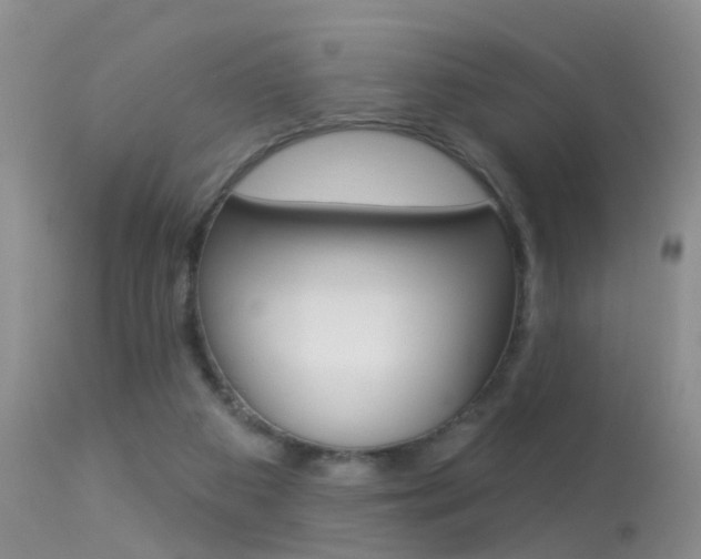 X0000113530113200909181009