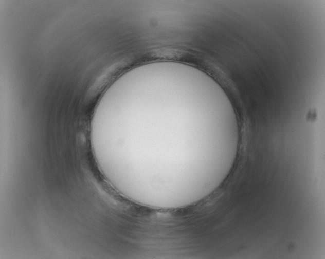 X0000113530114200909181009