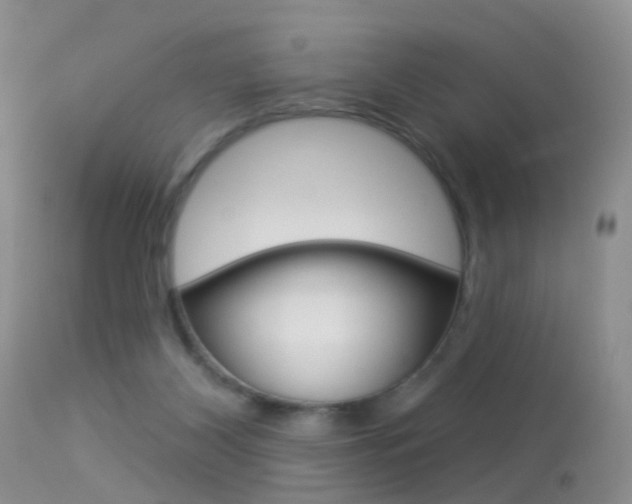 X0000113530116200909181009