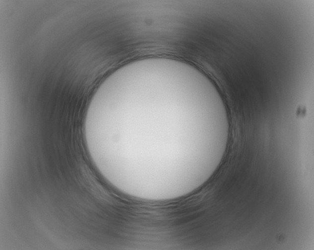 X0000113530117200909181009