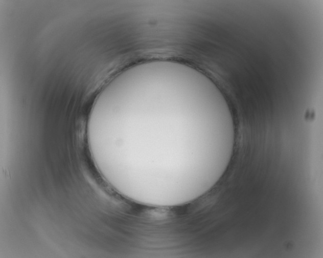 X0000113530118200909181009