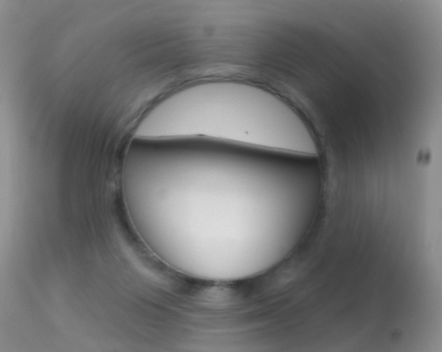 X0000113530119200909181009