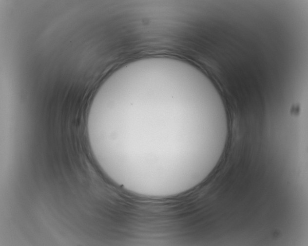 X0000113530121200909181009