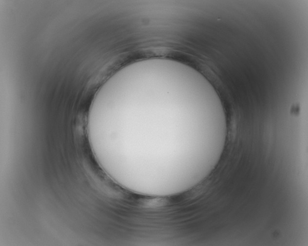 X0000113530122200909181009