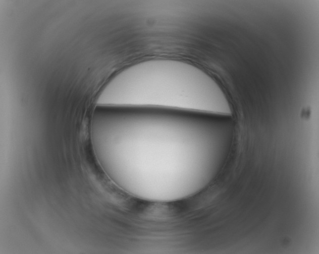X0000113530123200909181009