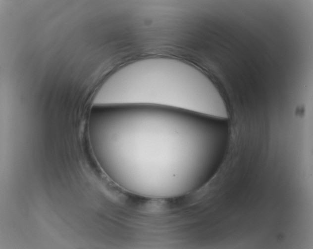 X0000113530124200909181009