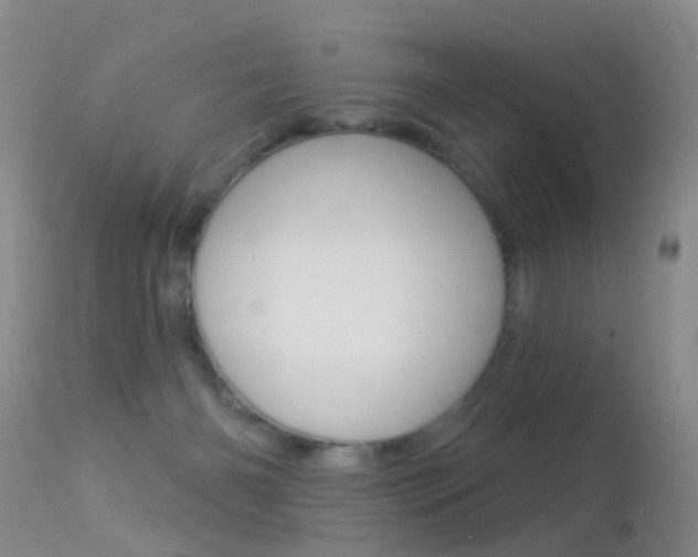 X0000113530126200909181009