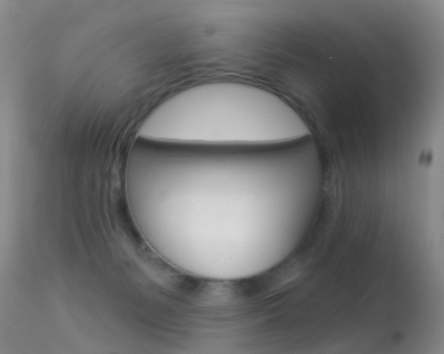 X0000113530127200909181009