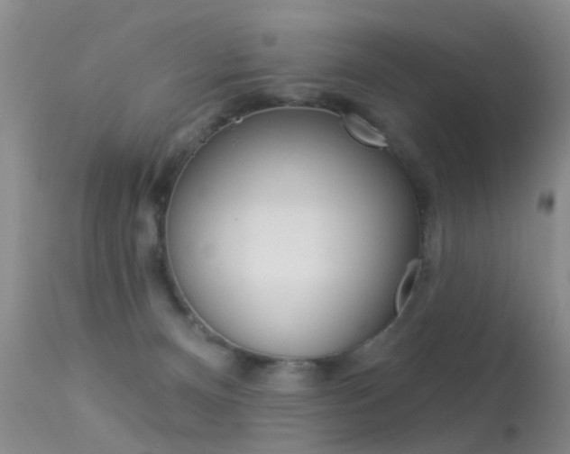 X0000113530128200909181009