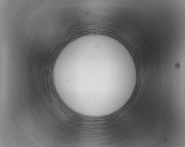 X0000113530129200909181009
