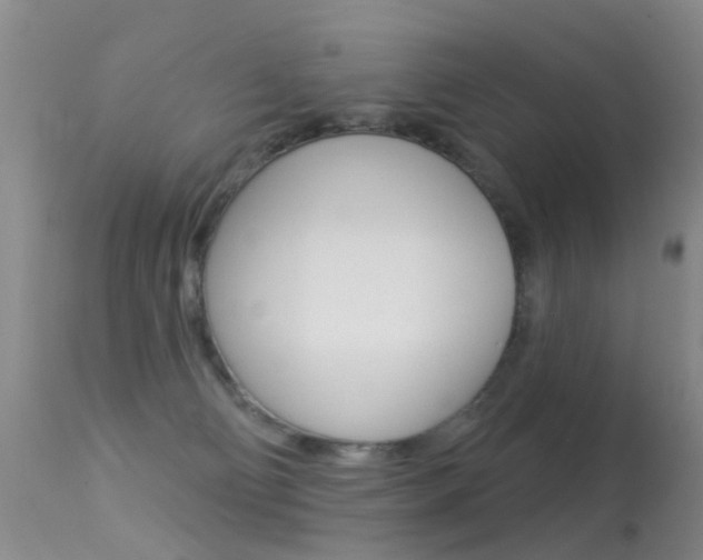 X0000113530130200909181009