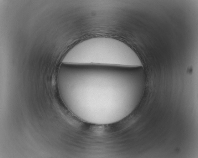 X0000113530131200909181009