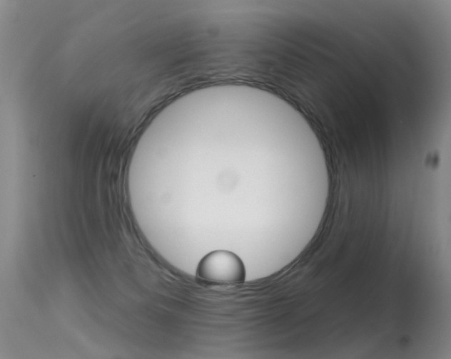 X0000113530133200909181009