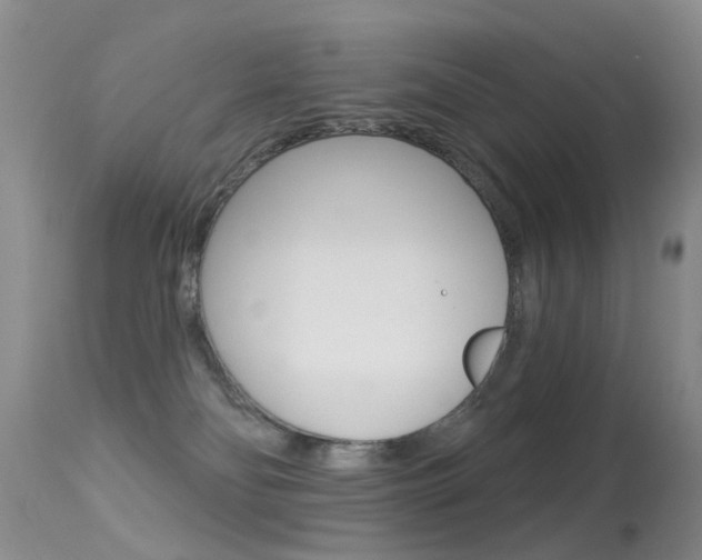 X0000113530134200909181009