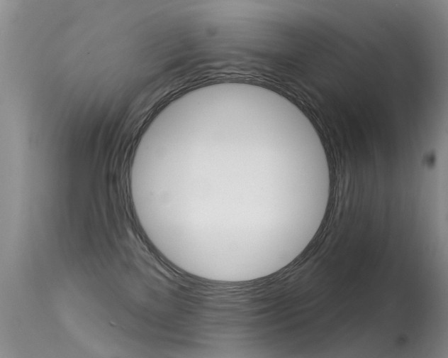 X0000113530137200909181009