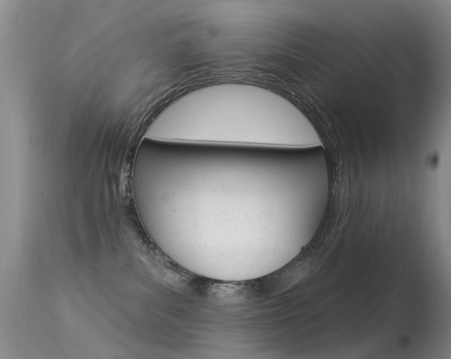X0000113530139200909181009