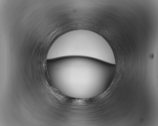 X0000113530140200909181009