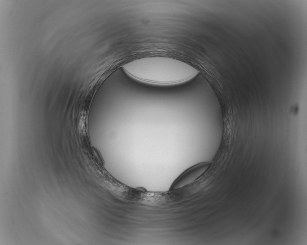 X0000113530141200909181009