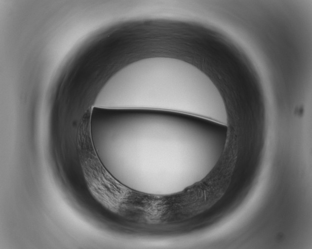 X0000113530143200909181009