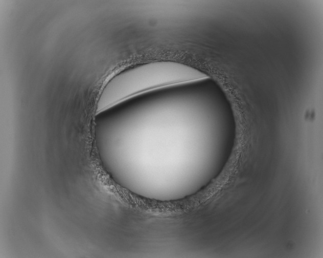 X0000113530144200909181009