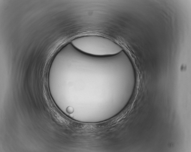X0000113530145200909181008
