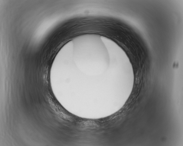 X0000113530146200909181008