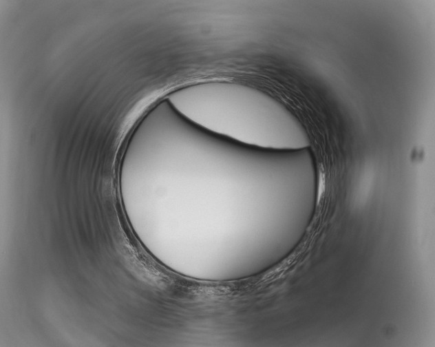 X0000113530147200909181008