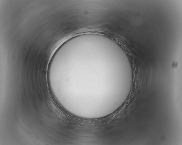 X0000113530148200909181008