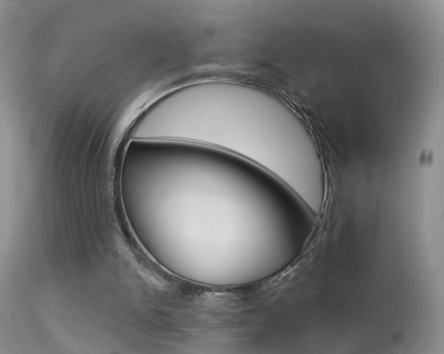X0000113530150200909181008