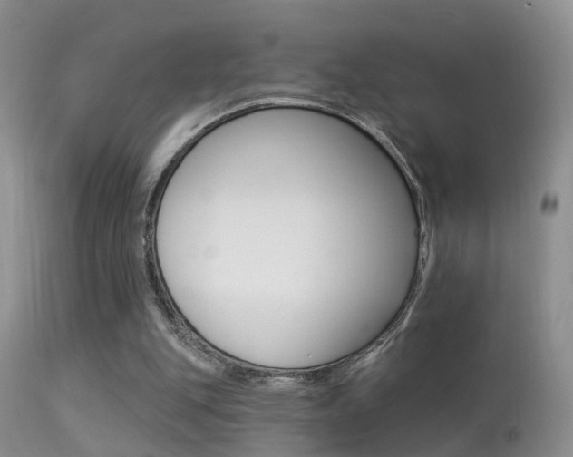 X0000113530151200909181008