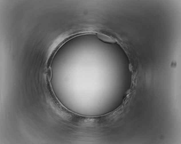 X0000113530152200909181008