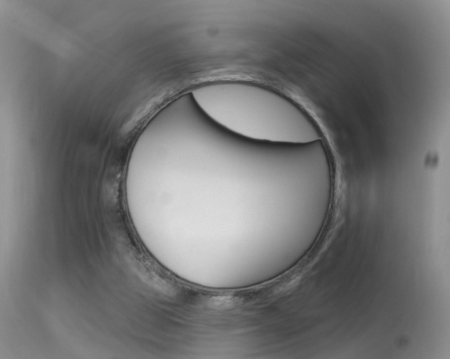 X0000113530153200909181008