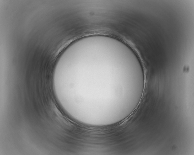 X0000113530154200909181008