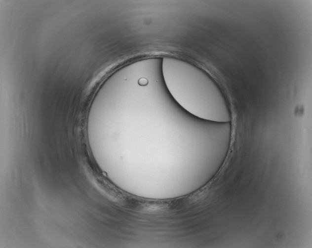 X0000113530155200909181008