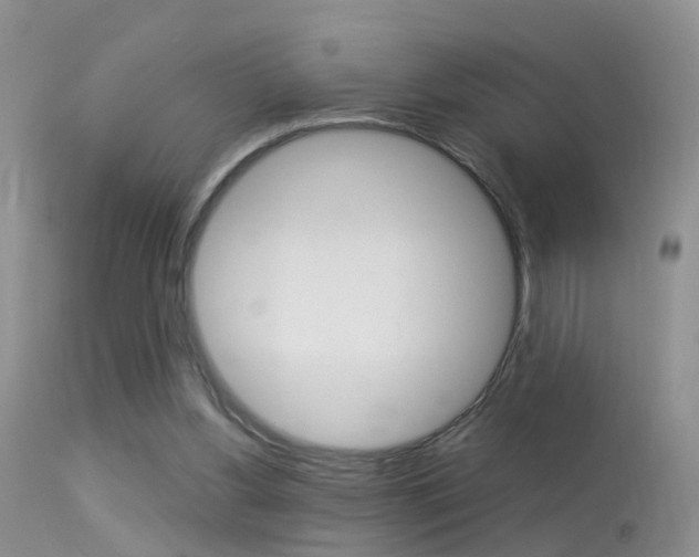 X0000113530156200909181008