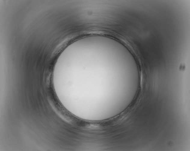 X0000113530157200909181008